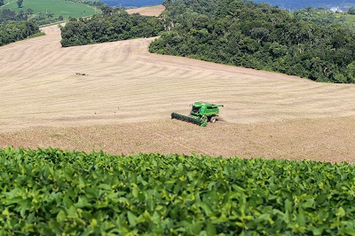 Campo mais forte: Valor Bruto de Produ&ccedil;&atilde;o da agropecu&aacute;ria do Paran&aacute; dobra em seis anos