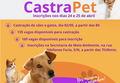 BANDEIRANTES ABRE 135 VAGAS PARA CASTRA&Ccedil;&Atilde;O GRATUITA DE C&Atilde;ES E GATOS