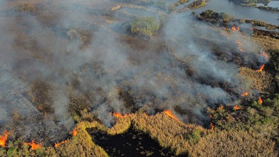 Chuva ajuda e inverno come&ccedil;a &ldquo;menos incendi&aacute;rio&rdquo; que o normal no Paran&aacute;