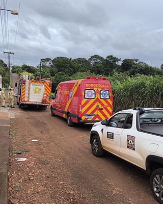 ATAQUE DE ABELHAS, MOBILIZA EQUIPES DE SOCORRO.
