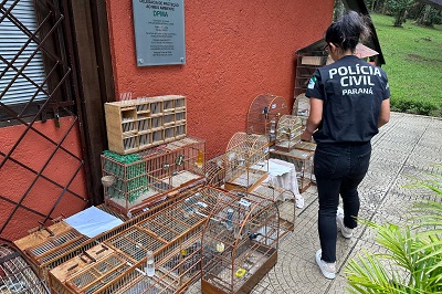 Pol&iacute;cia Civil do Paran&aacute; orienta sobre como denunciar maus-tratos a animais
