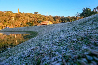 Frio avan&ccedil;a e Paran&aacute; entra em alerta de geada; veja cidades com risco nesta quarta-feira