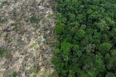 &Aacute;rea sob alerta de desmatamento na Amaz&ocirc;nia cai pela metade e sobe 43% no Cerrado em 2023, aponta Inpe