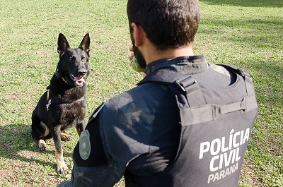 Pol&iacute;cia Civil do Paran&aacute; promover&aacute; a&ccedil;&otilde;es em alus&atilde;o ao Junho Branco