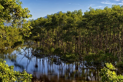 Do mangue ao s&iacute;tio arqueol&oacute;gico: parques estaduais s&atilde;o abrigos da natureza paranaense