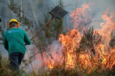 Temporada de inc&ecirc;ndios florestais nem come&ccedil;ou, mas Paran&aacute; registra 15 ocorr&ecirc;ncias por dia