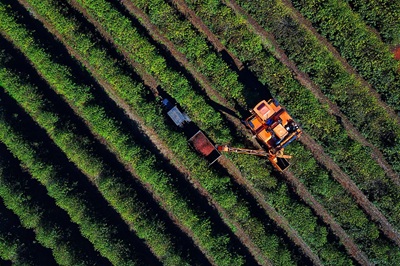 PIB do Paran&aacute; cresce 3,8% no primeiro semestre, acima da m&eacute;dia nacional