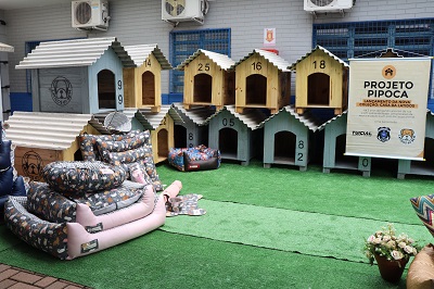 Detentos de Cascavel fazem 100 casinhas para c&atilde;es resgatados das ruas