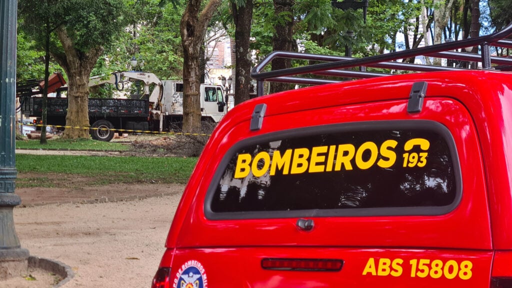 Ataques de abelhas podem ter alta no Paran&aacute;, com aumento nas temperaturas