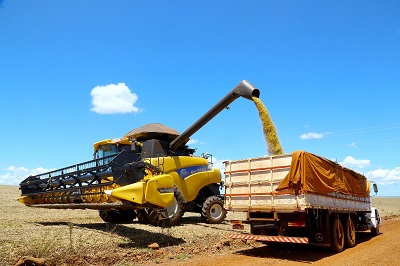 Exporta&ccedil;&otilde;es do agro paranaense cresceram 35,6% at&eacute; novembro, acima da m&eacute;dia nacional