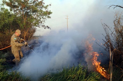 Paran&aacute; est&aacute; com risco de moderado a alto para inc&ecirc;ndios florestais