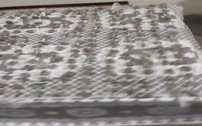 Pol&iacute;cia militar faz grande apresenta&ccedil;&atilde;o de drogas