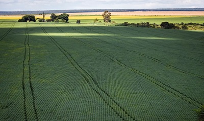 Senado aprova plano para fabrica&ccedil;&atilde;o de fertilizantes no Brasil