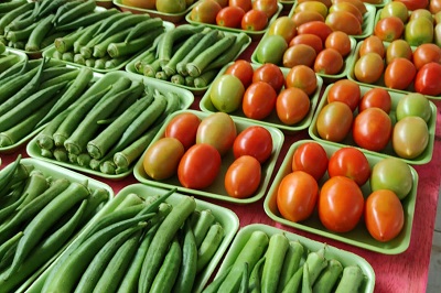 Seguran&ccedil;a alimentar e agricultura familiar do Paran&aacute; receberam R$ 270 milh&otilde;es em 2023