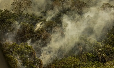 Inc&ecirc;ndios podem ter degradado 9% do Pantanal nos &uacute;ltimos cinco anos