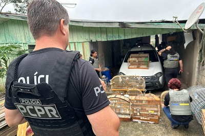 PCPR deflagra opera&ccedil;&atilde;o contra organiza&ccedil;&atilde;o ligada ao tr&aacute;fico de animais silvestres