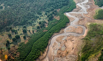 Pesquisa com bact&eacute;rias na Amaz&ocirc;nia pode desenvolver novos medicamentos 