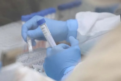 Paran&aacute; disponibiliza 2 mil exames gratuitos de DNA para a popula&ccedil;&atilde;o