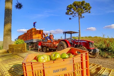  Pre&ccedil;os de alimentos e bebidas tiveram queda de 1,29% em julho no Paran&aacute;