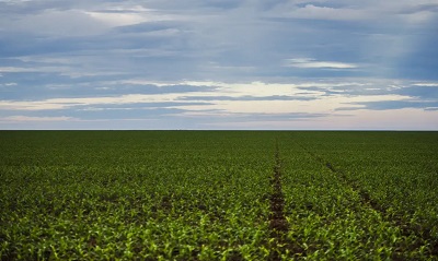 Fazenda estuda Fundo Garantidor para d&iacute;vidas rurais